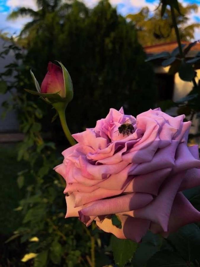 "Nueva La Grappa" Hotel & Posada Altos Zewnętrze zdjęcie
